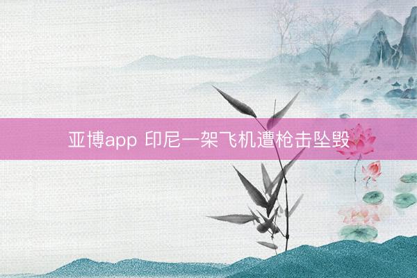 亚博app 印尼一架飞机遭枪击坠毁