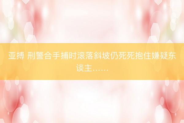 亚搏 刑警合手捕时滚落斜坡仍死死抱住嫌疑东谈主……