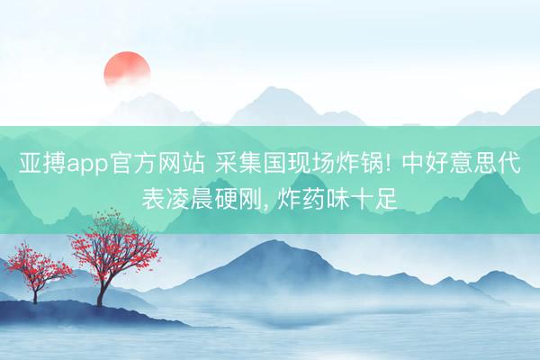亚搏app官方网站 采集国现场炸锅! 中好意思代表凌晨硬刚, 炸药味十足