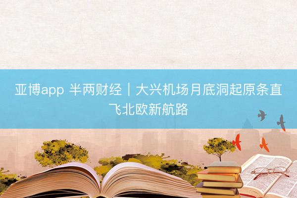 亚博app 半两财经｜大兴机场月底洞起原条直飞北欧新航路
