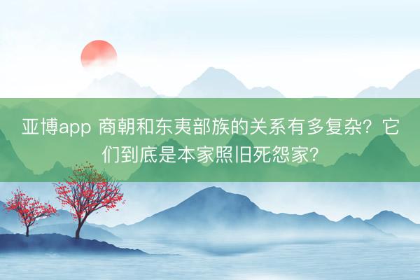 亚博app 商朝和东夷部族的关系有多复杂？它们到底是本家照旧死怨家？