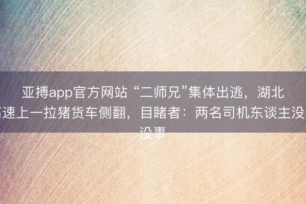 亚搏app官方网站 “二师兄”集体出逃,湖北高速上一拉猪货车侧翻,目睹者:两名司机东谈主没事