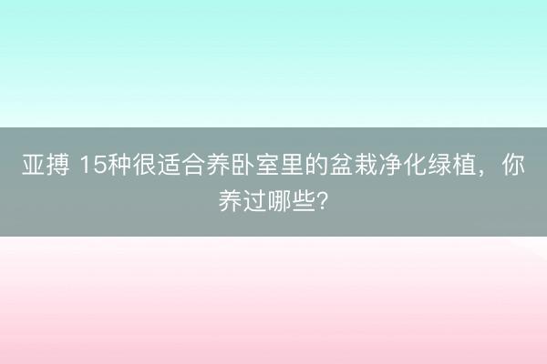 亚搏 15种很适合养卧室里的盆栽净化绿植，你养过哪些？