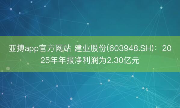 亚搏app官方网站 建业股份(603948.SH)：2025年年报净利润为2.30亿元