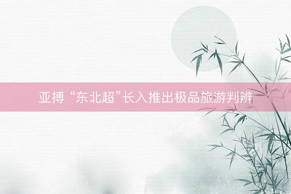 亚搏 “东北超”长入推出极品旅游判辨