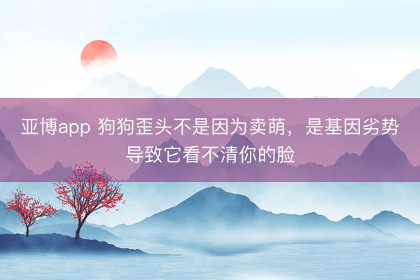 亚博app 狗狗歪头不是因为卖萌，是基因劣势导致它看不清你的脸