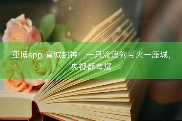 亚博app 宣城封神！一只流浪狗带火一座城，央视都夸爆