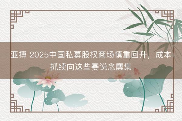 亚搏 2025中国私募股权商场慎重回升，成本抓续向这些赛说念麇集
